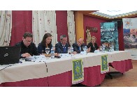 Mesa redonda: 