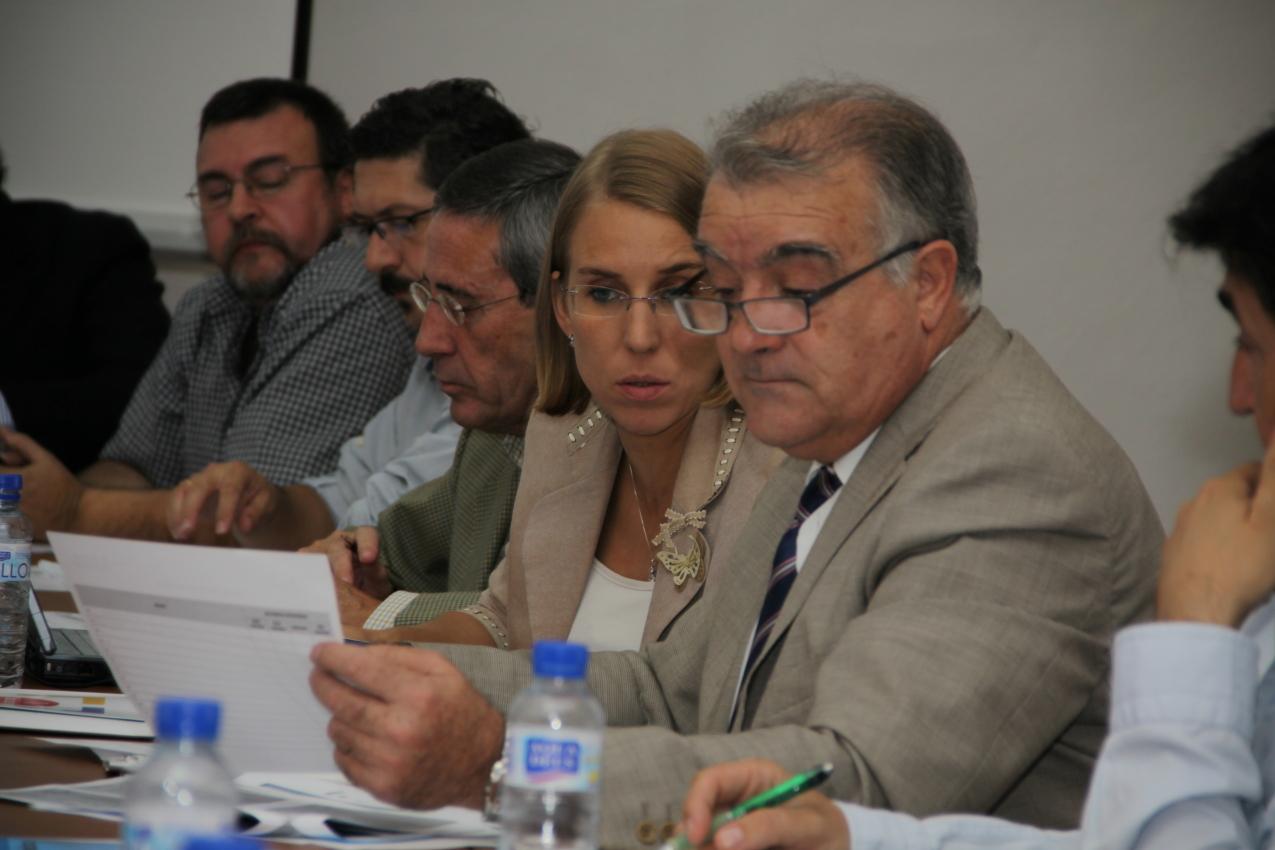 Miembros de la Comisión de Estrategia 7 durante la reunión