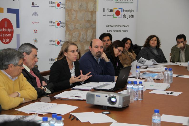 Intervención de Inmaculada Herrador Lindes durante la reunión