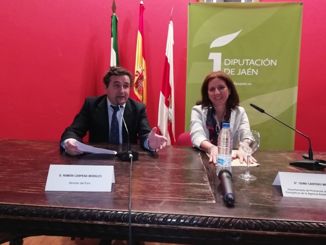 Ponencia: Paquete de medidas de mejora del transporte en Andalucía. Intervino Gema Cantero (Agencia Andaluza de la Energía)