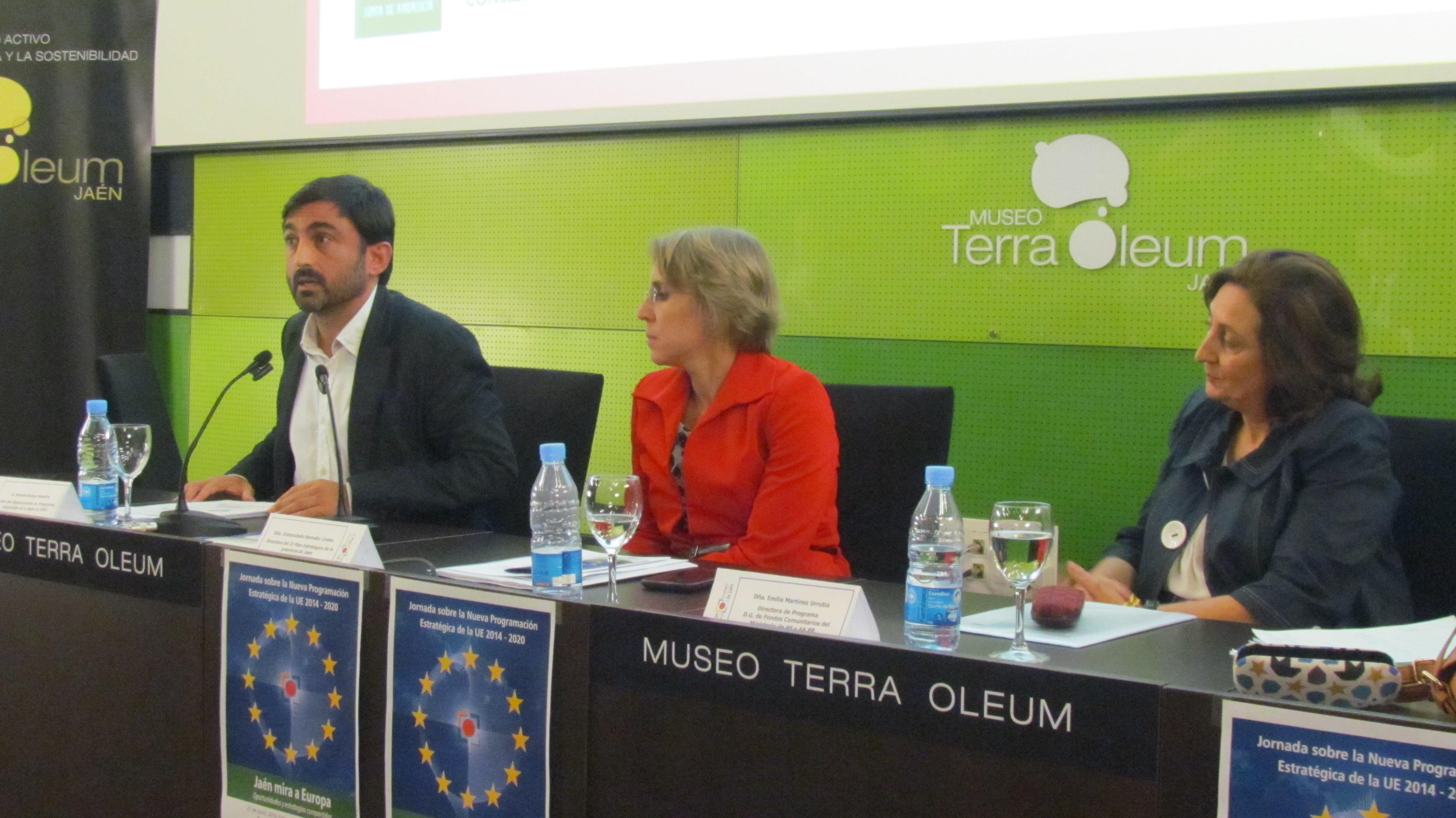 Intervención de Manuel Arroyo Maestre, Jefe del Departamento de Programas Regionales de la Agencia IDEA