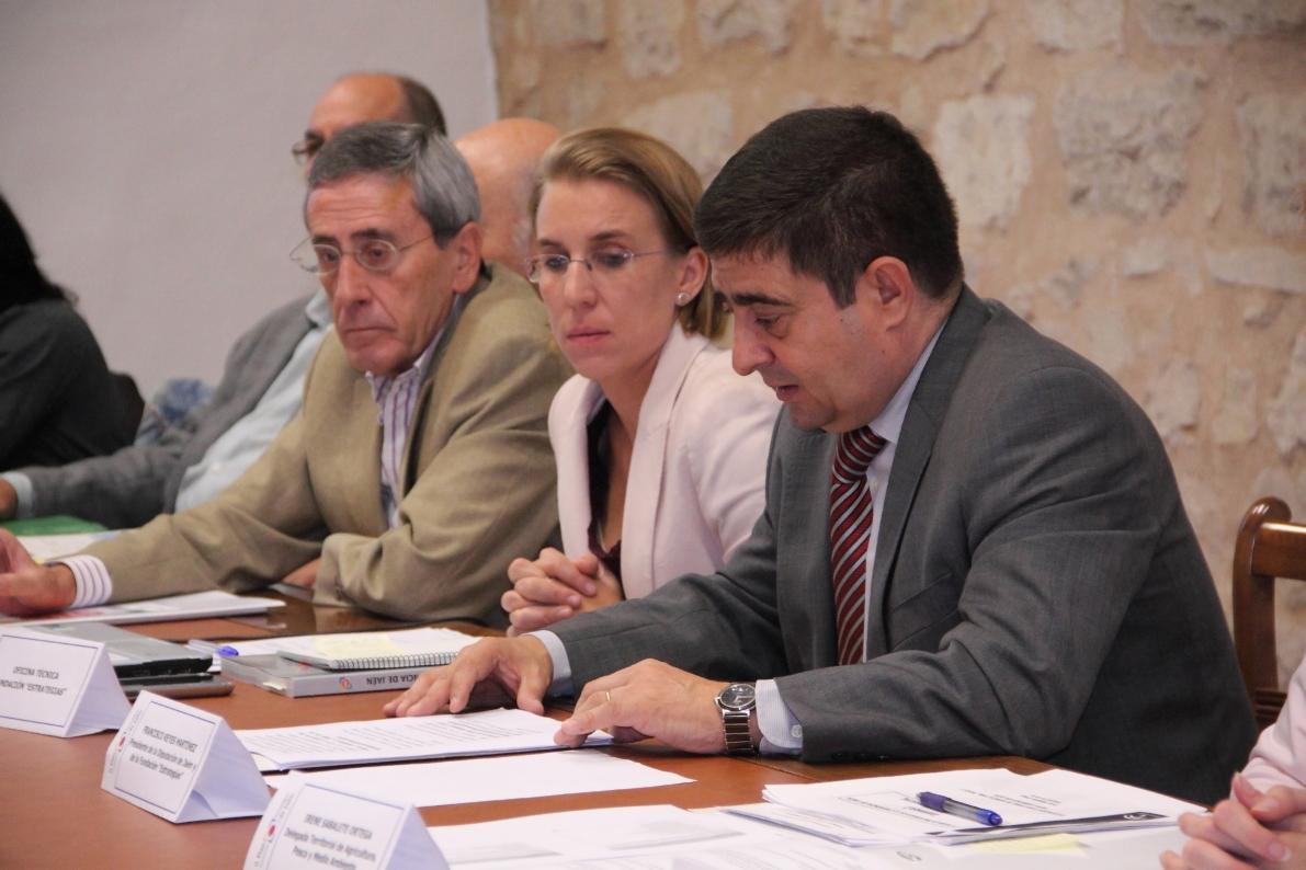 Intervención de Francisco Reyes Martínez, quien presidió la comisión