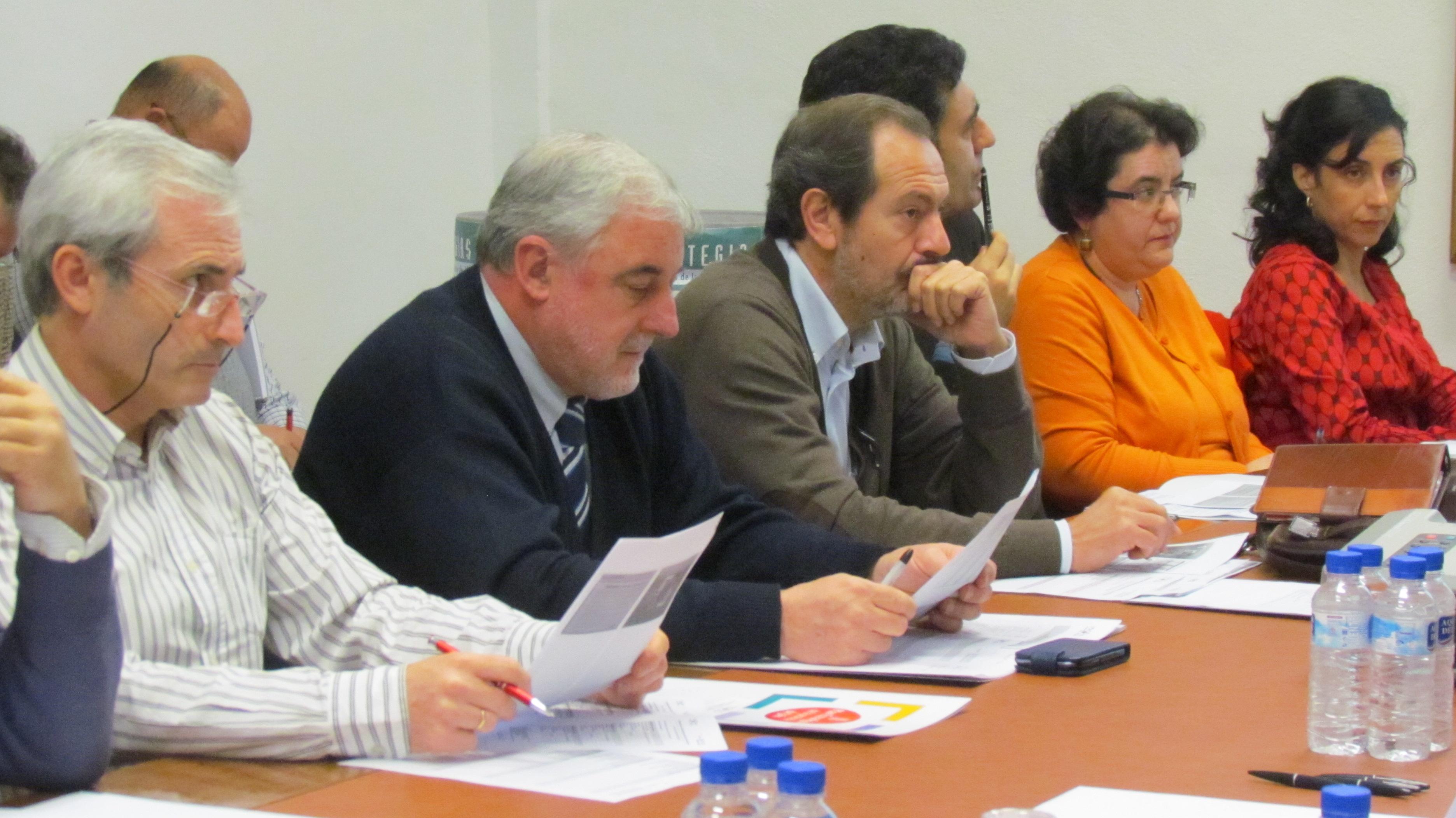 Miembros de la comisión de seguimiento e impulso de la Estrategia 3 durante la reunión