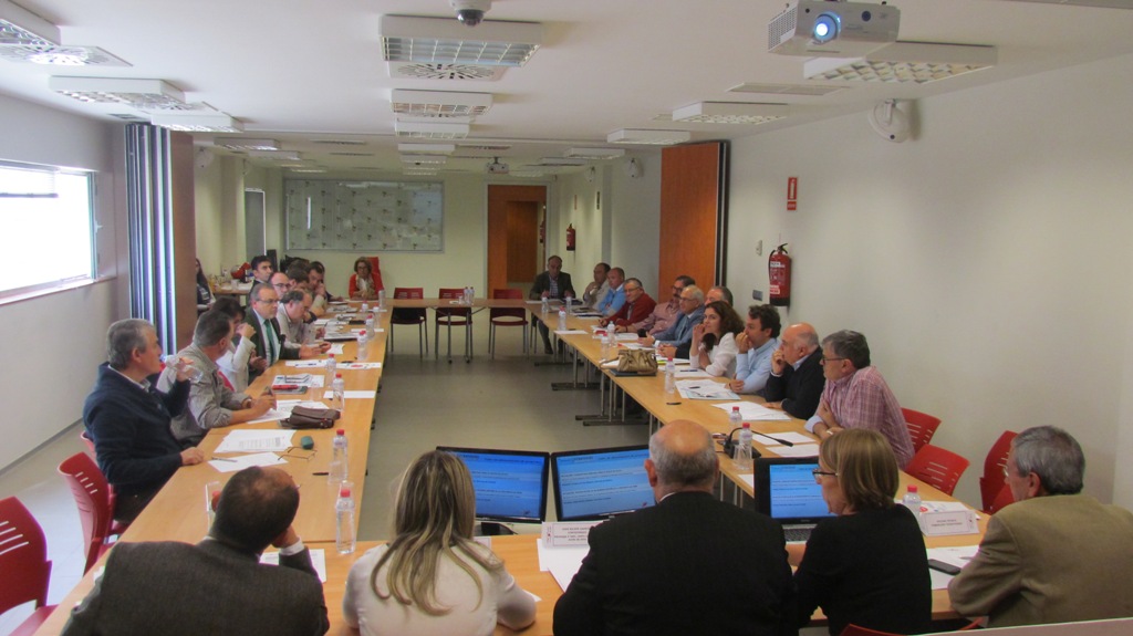 Miembros de la comisión de seguimiento e impulso de la Estrategia 6 durante la reunión