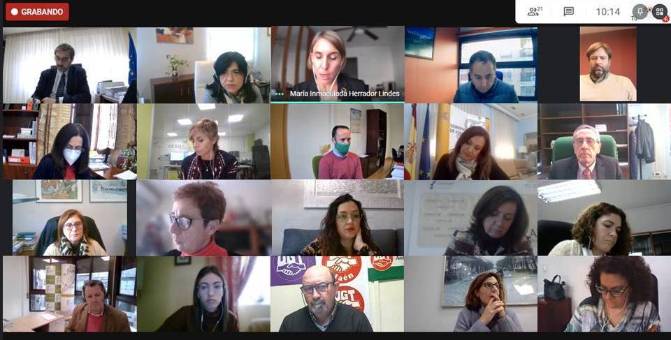 Reunión telemática con las personas encargadas de coordinar y ejercer la secretaría de las Comisiones de Seguimiento del II Plan (12/01/2021)