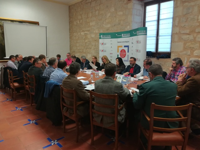 Miembros de la comisión de seguimiento e impulso de la Estrategia 7 durante la reunión